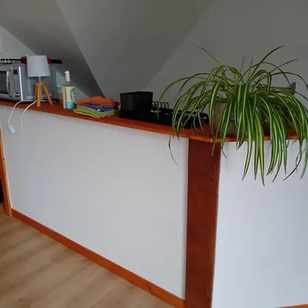 De La Vigne Homestay *